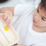 Παιχνίδι με δίσκους 2 σε 1 - Image 5