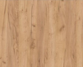 1. Χρύση Βελανιδιά - Dab Zloty