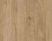 Βελανιδιά- Dab Shetland